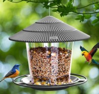 bird feeder grijs16